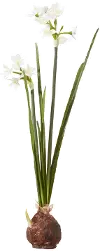 18 Inch Paperwhite Faux Bulb Arrangement