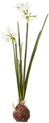 18 Inch Paperwhite Faux Bulb Arrangement