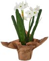 10 Inch Real Touch Potted Faux Paperwhites Arrangement