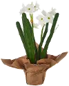 10 Inch Real Touch Potted Faux Paperwhites Arrangement