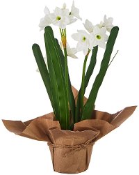 10 Inch Real Touch Potted Faux Paperwhites Arrangement