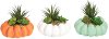 Assorted Resin Pumpkin with Faux Succulents