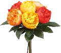 Orange and Yellow Peony Bouquet for Arrangement