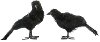 Assorted Faux Black Feather Crow with Feet