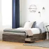 12736 Asten Contemporary Fall Oak Full Storage Platform Bed - South Shore