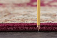 SNS4720-5X8 5 x 7 Medium Oriental Deep Red and Beige Area Rug - Sensation-3