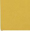 4325STVLVCNR Contemporary Canary Yellow Velvet Storage Bench