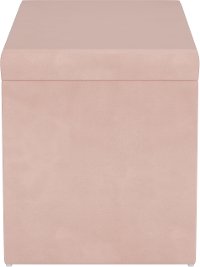4325STVLVTBLSH Contemporary Blush Pink Velvet Storage Bench-6
