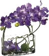 Faux Purple Vanda Orchid with Twig and Moss Ball in Glass Vase