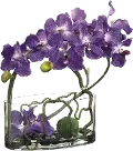 Faux Purple Vanda Orchid with Twig and Moss Ball in Glass Vase