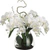 Faux Cream Phalaenopsis Orchid Arrangement in Glass Vase