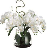 Faux Cream Phalaenopsis Orchid Arrangement in Glass Vase