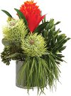 Red and Green Bromeliad, Succulent and Grass in Glass Vase