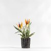 Faux Orange Birds of Paradise Arrangement in Planter