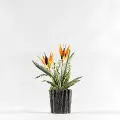 Faux Orange Birds of Paradise Arrangement in Planter