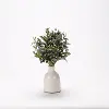 Clearance Faux Olive Spray in White Ceramic Bottle Vase