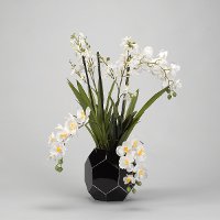 Faux Cream Dendrobium and Orchids Arrangement in Black Planter