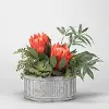 Clearance King Protesa with Succulents and Foliage Arrangement in Tin Planter