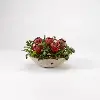 Clearance Red Royal Proteas with Hares Foot Fern Arrangement in Wooden Bowl