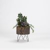 Faux Jade Plants with Yucca and Succulents in Wooden Planter