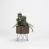 Faux Jade Plants with Yucca and Succulents in Wooden Planter
