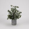 Faux Silver Dollar Eucalyptus Arrangement in Cement Planter