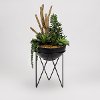 Faux Succulents and Driftwood Arrangement in Black Resin Bowl