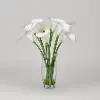 24 Inch White Calla Lilies Arrangement in Glass Vase