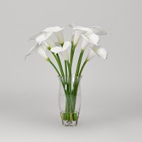 24 Inch White Calla Lilies Arrangement in Glass Vase