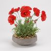 Faux Red Poppies Arrangement in Cement Bowl