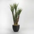 Faux Green Yucca Plant Arrangement in Black Planter