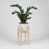 Faux Zamifolia Arrangement in White Planter with Wood Stand