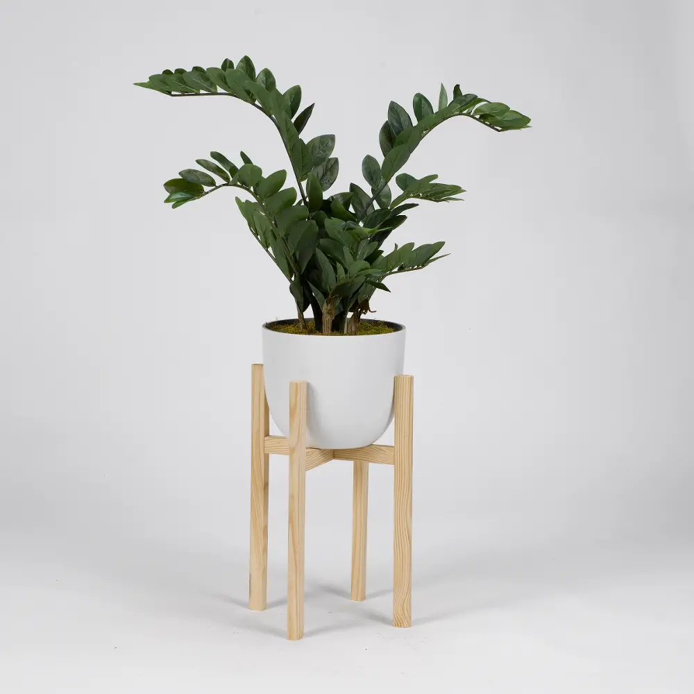Faux Zamifolia Arrangement in White Planter with Wood Stand-1