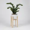 Faux Zamifolia Arrangement in White Planter with Wood Stand