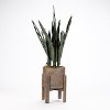 Faux Mother In Law Tongue Arrangement in Wood Planter with Stand