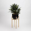 Green Faux Star Succulent Arrangement in Black Planter on Wood Stand
