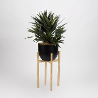 Green Faux Star Succulent Arrangement in Black Planter on Wood Stand