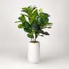 Faux Green Fiddle Leaf Fig Arrangement in White Planter