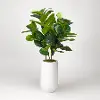 Faux Green Fiddle Leaf Fig Arrangement in White Planter