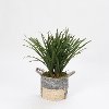Faux Areca Green Grass Arrangement in Gray Basket