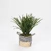 Faux Areca Green Grass Arrangement in Gray Basket