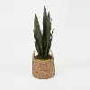 Faux Mother In Law Tongue Arrangement in Natural Basket