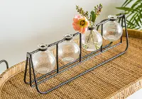 Glass Vases with Metal Rack