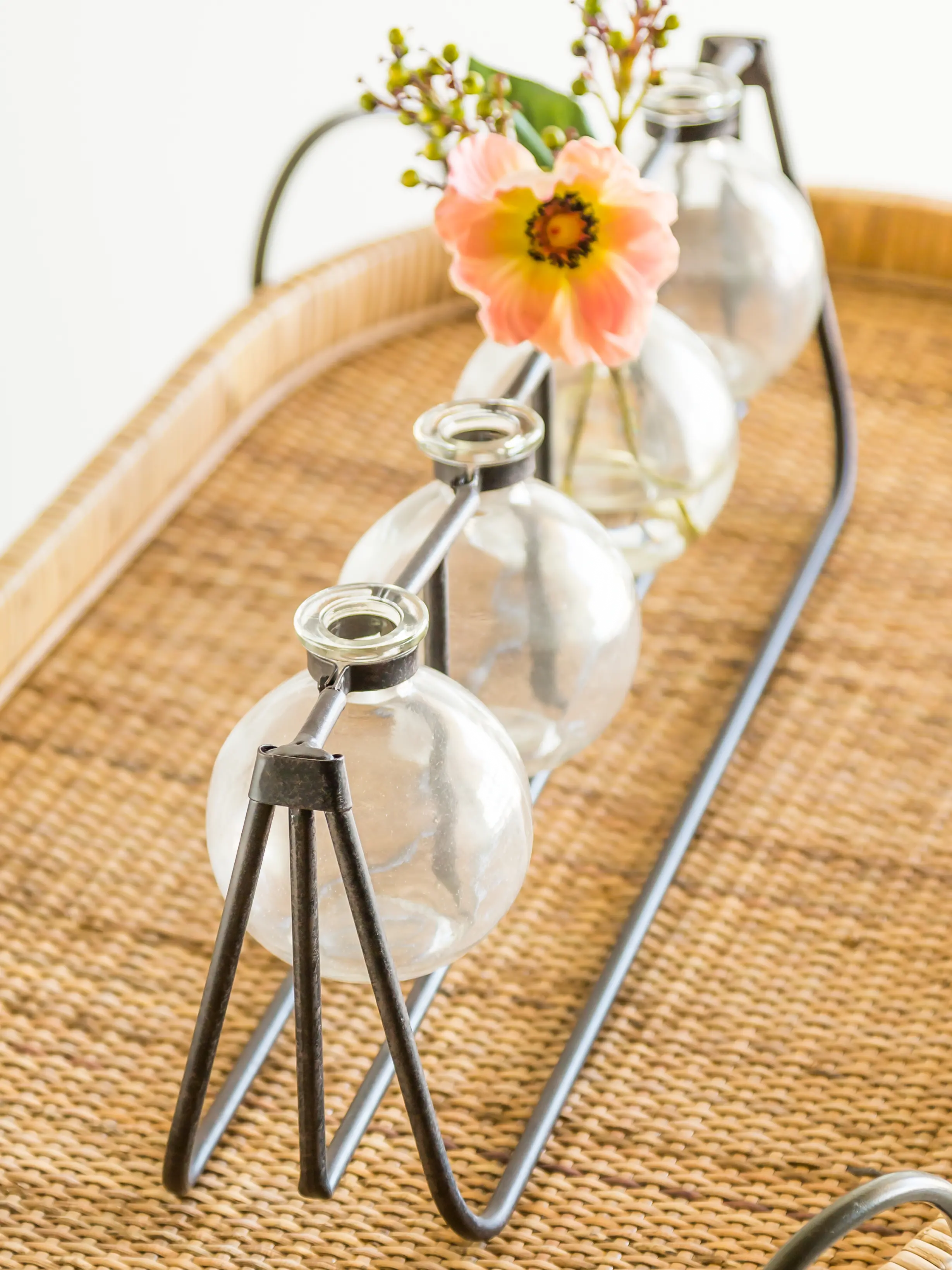 Glass Vases with Metal Rack-2