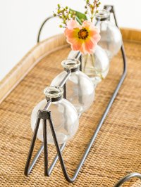 Glass Vases with Metal Rack-2