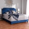 149-8954-RCW Glam Navy Blue Velvet Upholstered Queen Bed - Eleanora