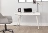 Gray Desk with White Drawer - Moss