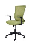 Green Home Office Chair - Rainbow