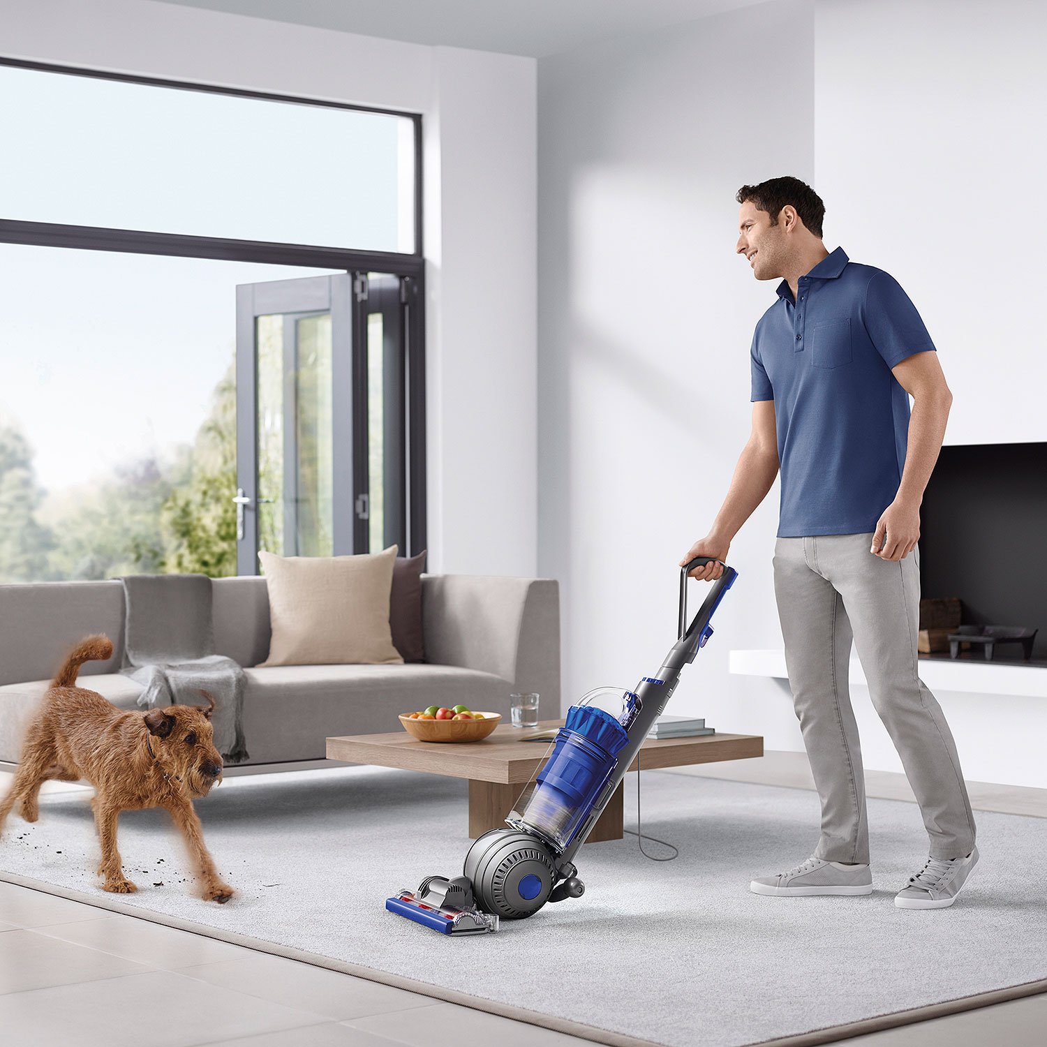 DY-24681801 Dyson Ball Animal 2 Total Clean Upright Vacuum Cleaner-8