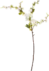Magnolia Home Furniture Faux Cherry Blossom Branch for Arrangement